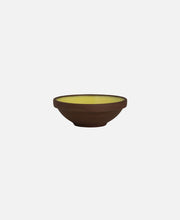 Bol Spice - Saffron