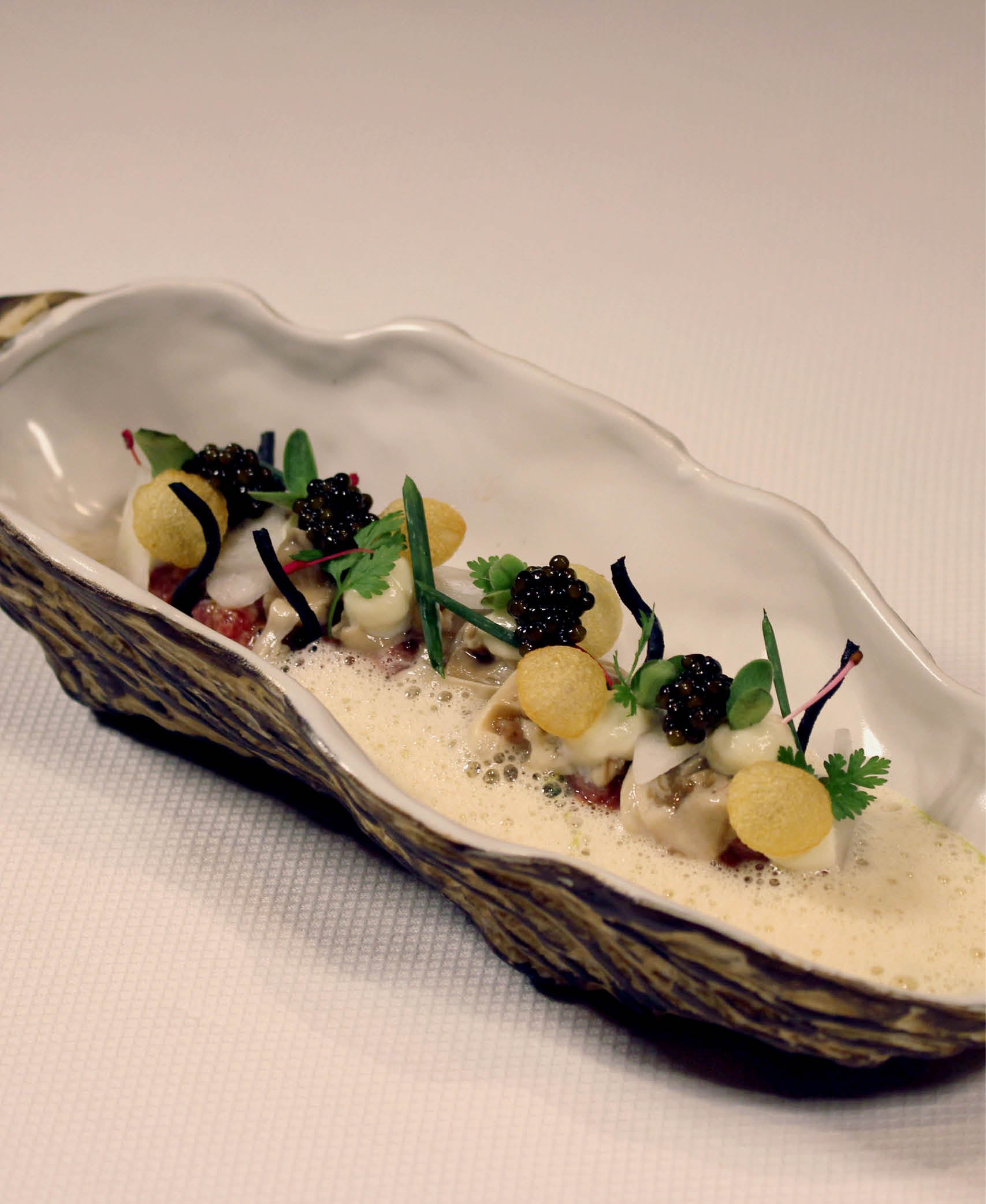 Bol Oyster - Marrón / Blanco