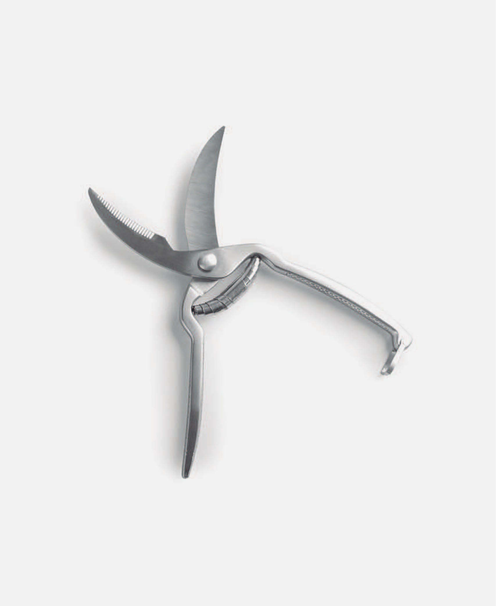 Tijera Para Aves - Inox 25 cm