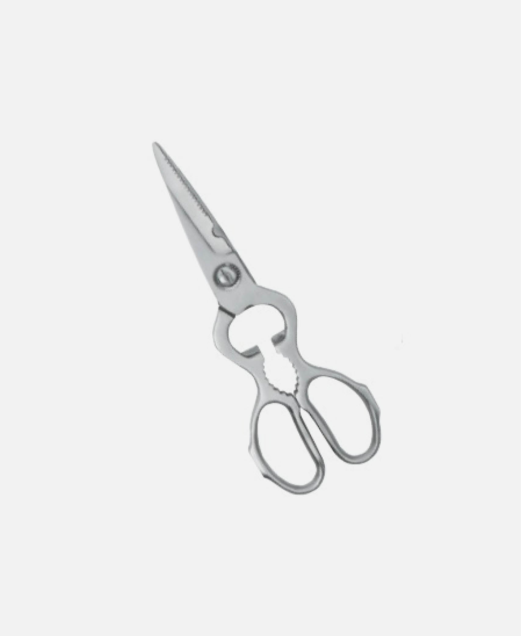 Tijera Profesional - Inox 20 cm