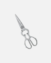 Tijera Profesional - Inox 20 cm
