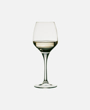 Copa Fame Vino Blanco  - Transparente