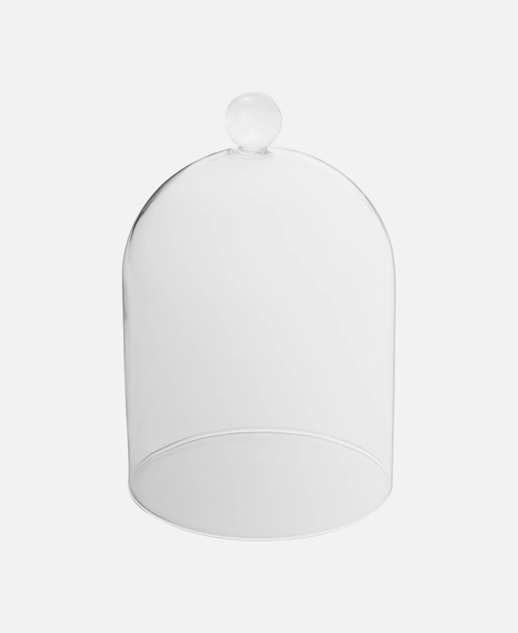 Cloché Spotlights - Transparente
