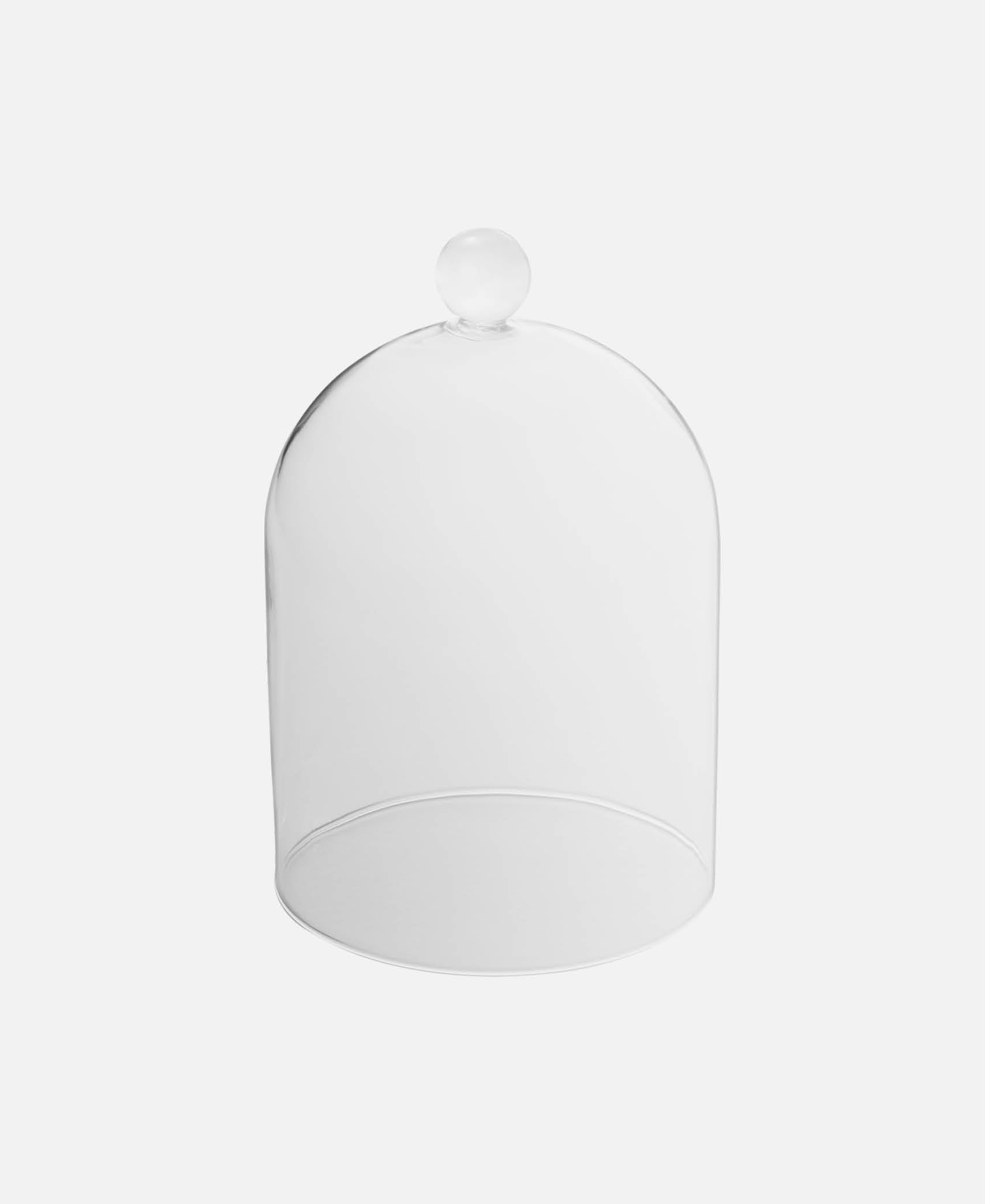 Cloché Spotlights - Transparente