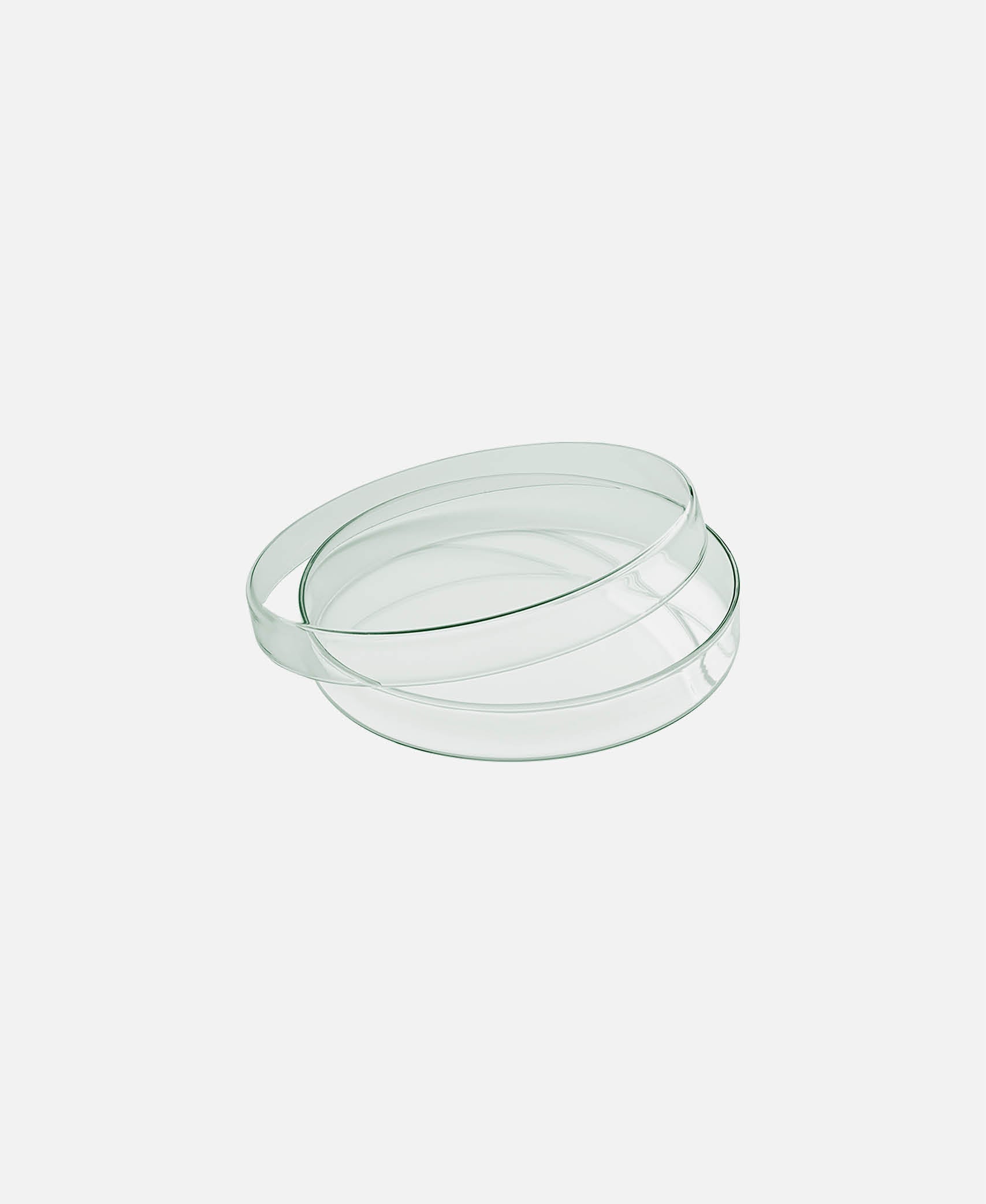 Bol plano c/ tapa Spotlights - Transparente
