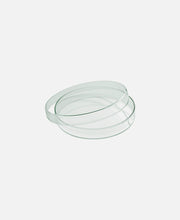 Bol plano c/ tapa Spotlights - Transparente