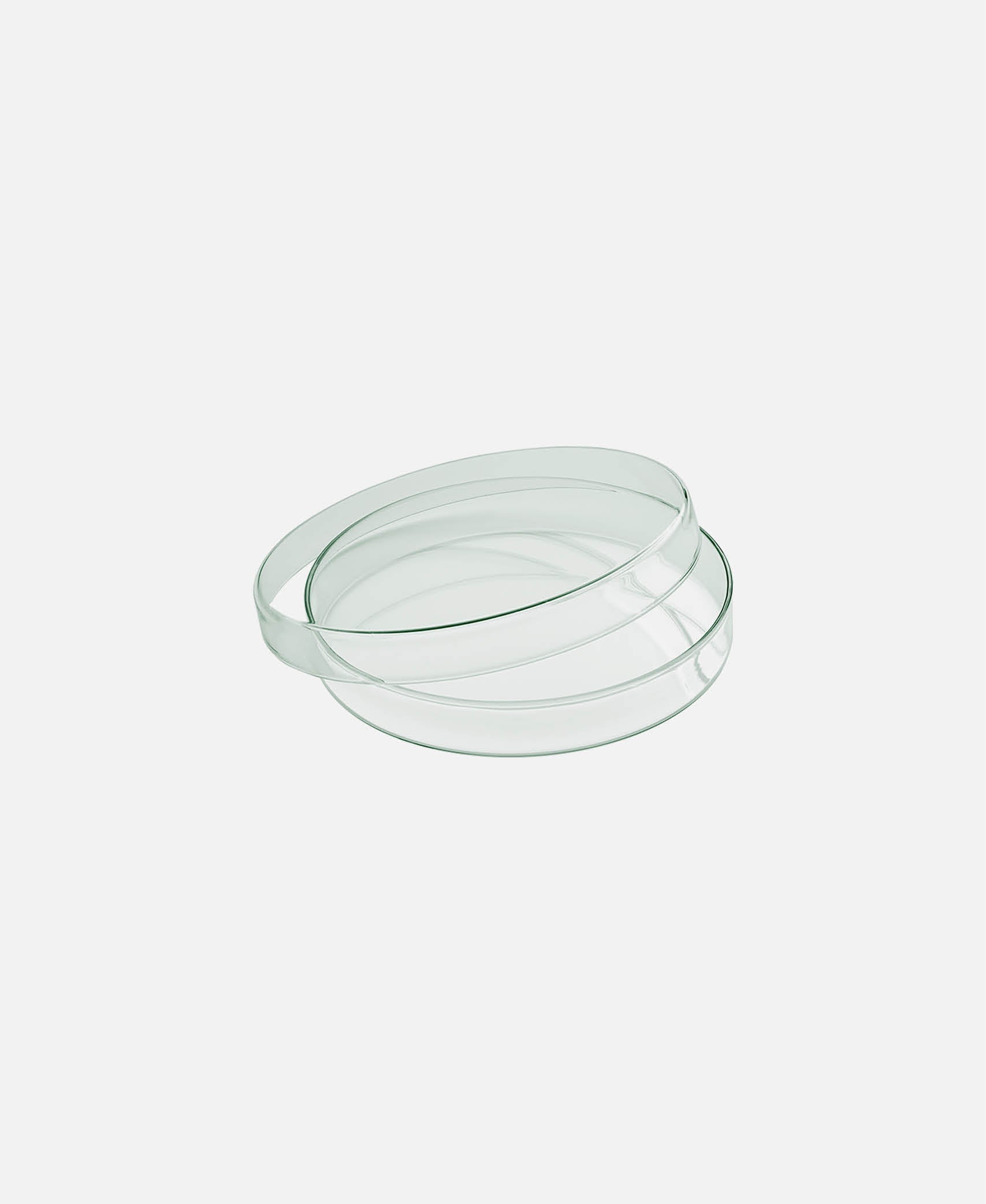 Bol plano c/ tapa Spotlights - Transparente
