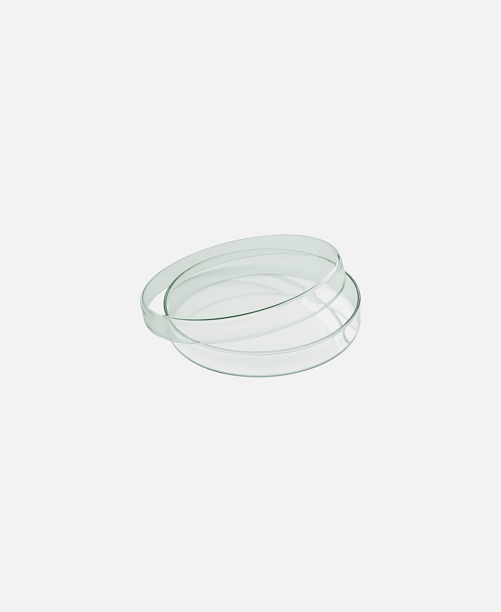 Bol plano c/ tapa Spotlights - Transparente