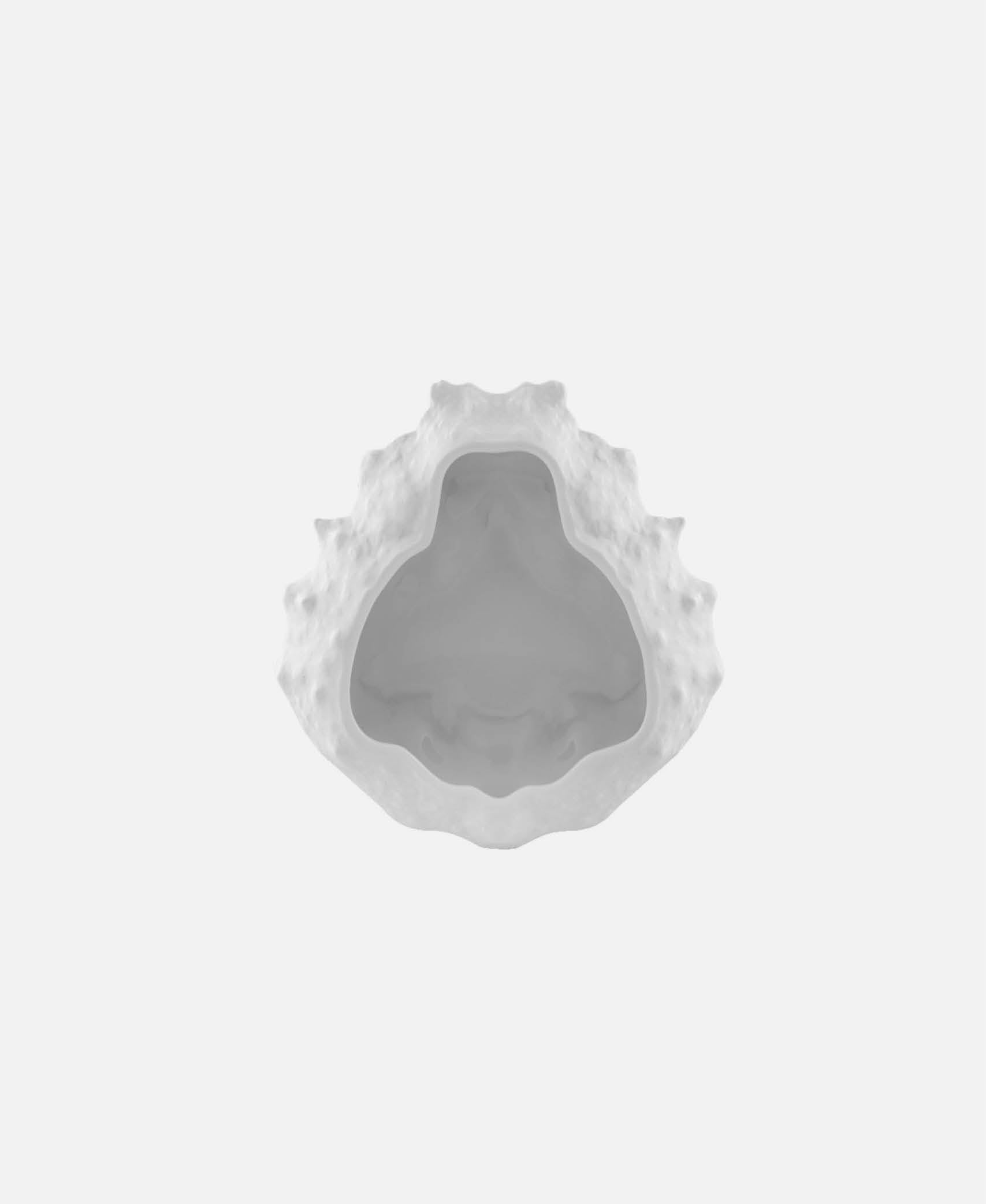 Plato Centolla Chef's Collection - Blanco