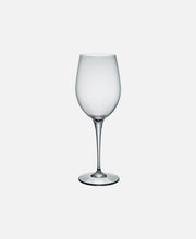 Copa Gran Degustación Premium  - Transparente