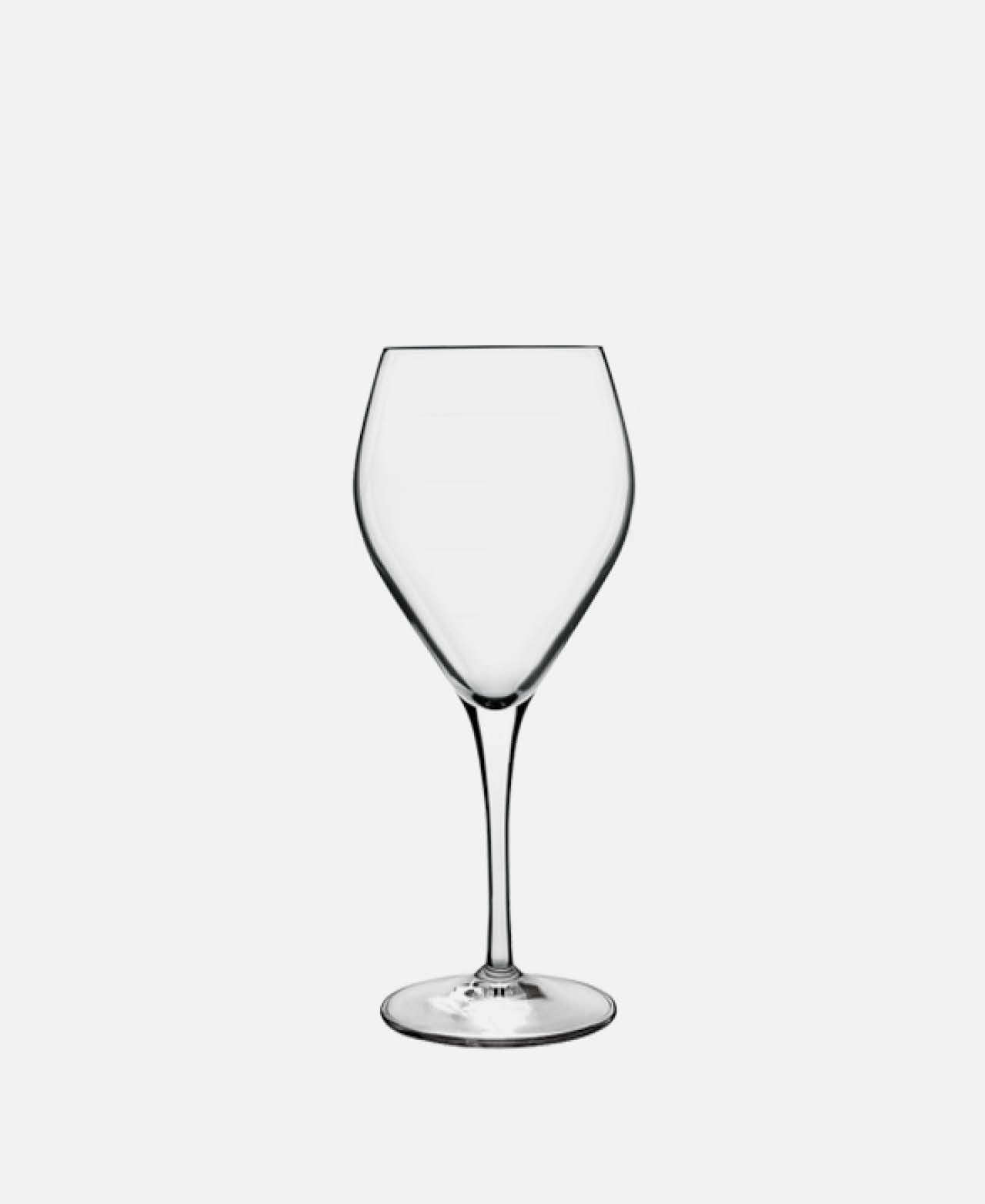 Atelier White Wine Glass - Transparent