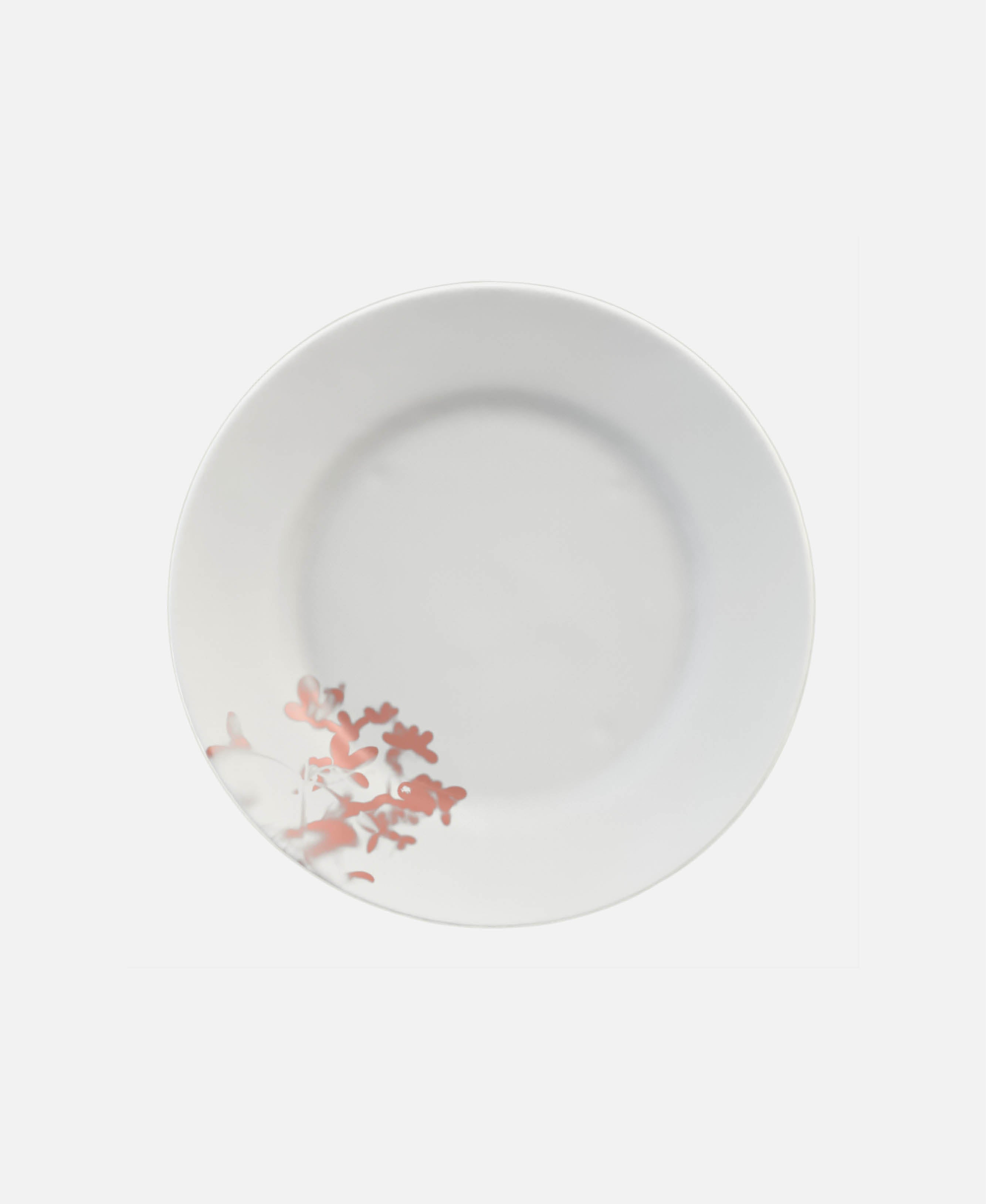 Plato - Blanco