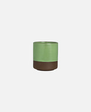 Taza Spice - Cardamon