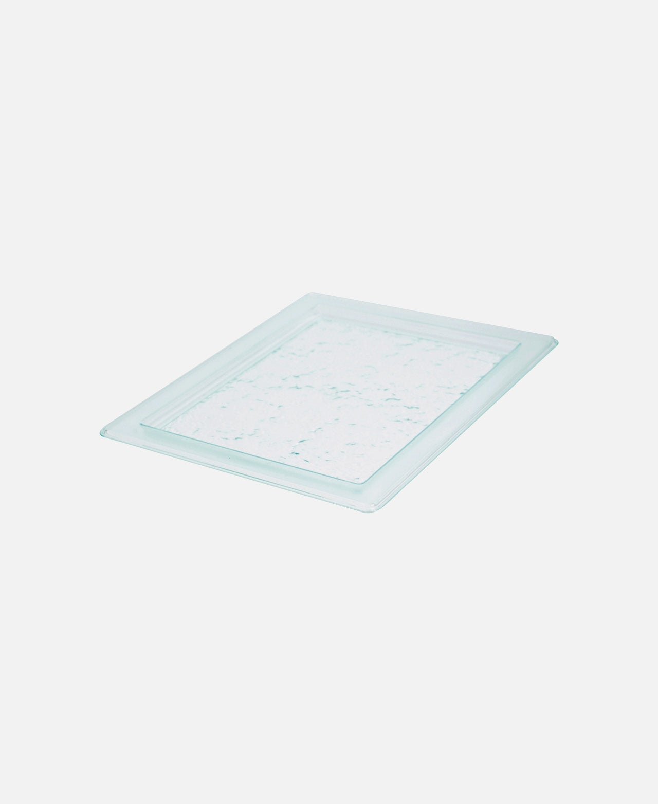 GN 1/2 Tray - Transparent