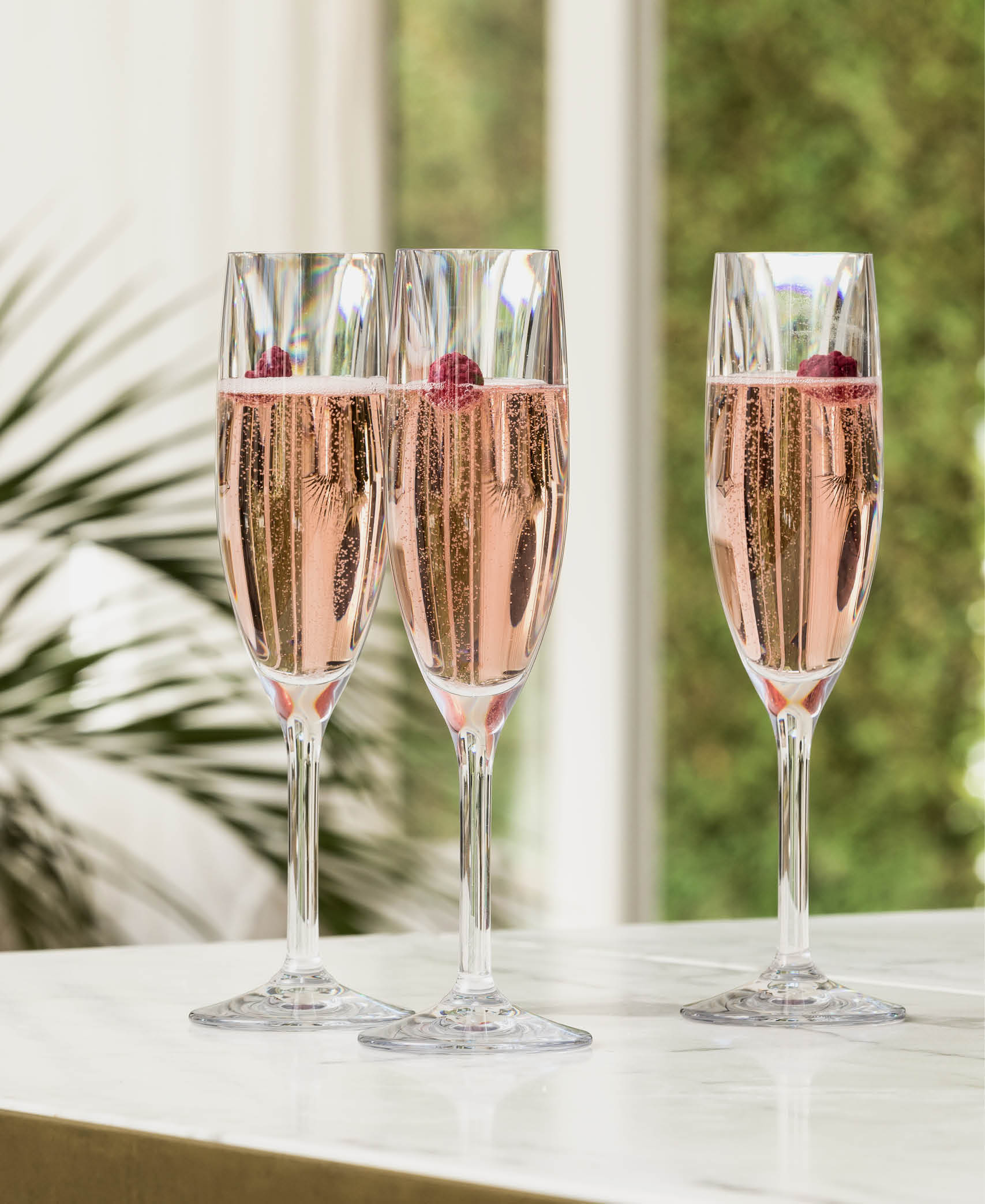 Copa Champagne Design + Contemporary - Transparente