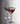 Primeur Red Wine Glass - Transparent