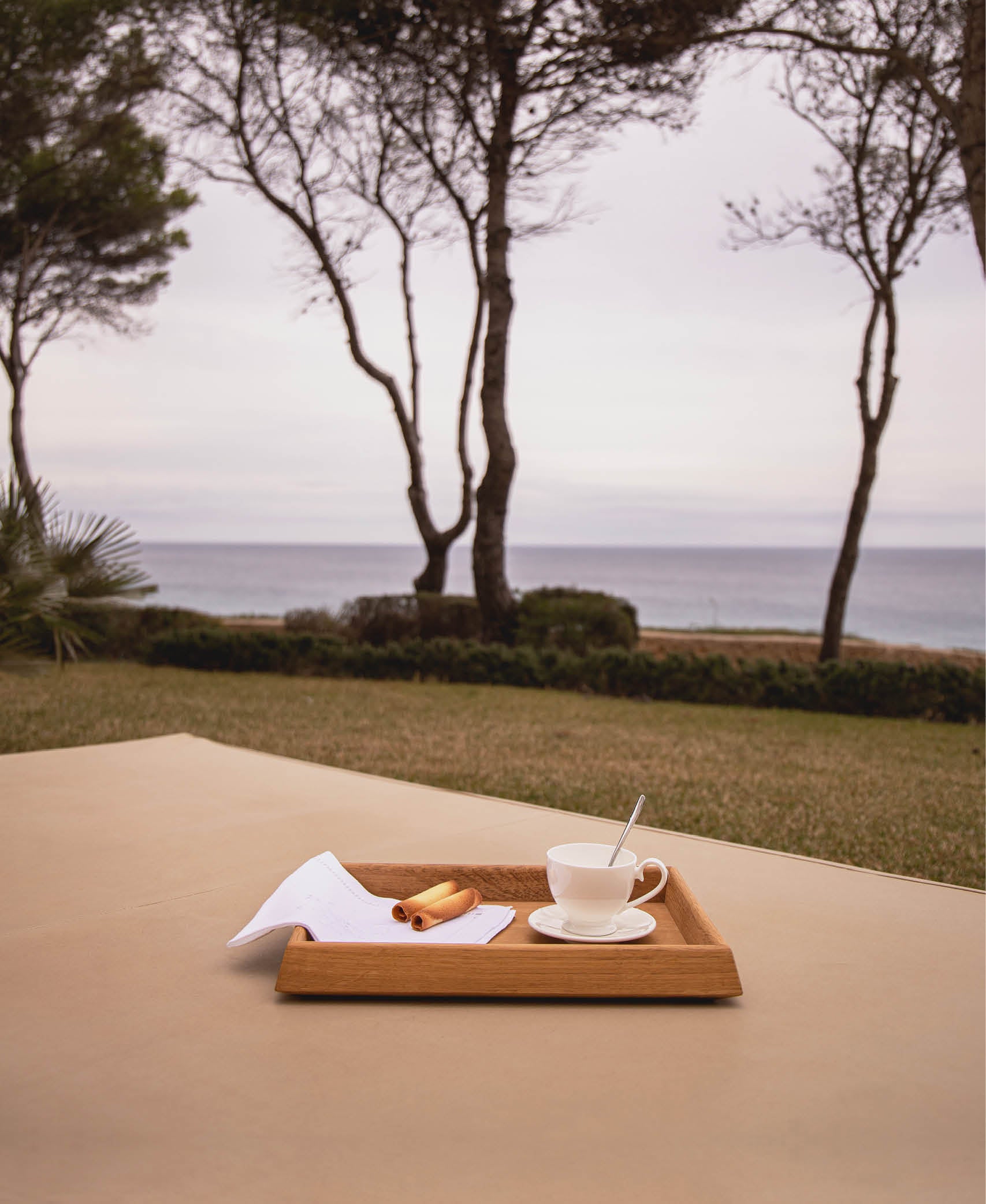 Bandeja Polygon - Marrón roble