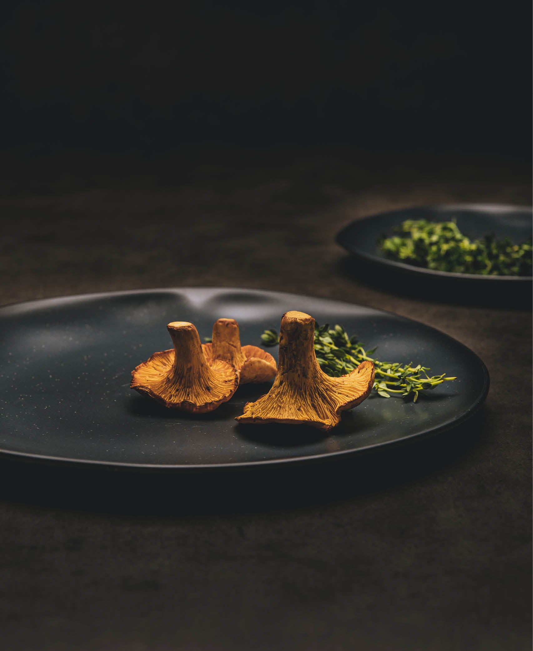 Plato llano Koska - Negro